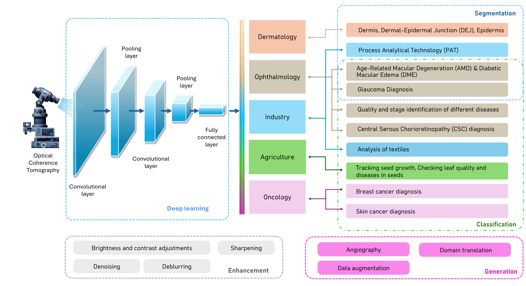 Taxonomy of deep learning for OCT across classification, segmentation, image generation, and enhancement.